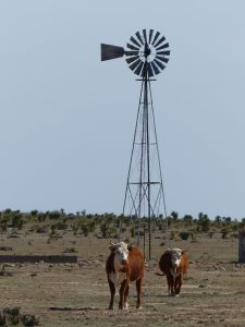 Wasserpumpe auf texanischer Viehweide. Foto: © 2016, Dr. Bernd Kregel