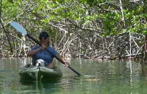 Mangroven-Paddelabenteuer mit Sue Cooper in Key West. oto: © Dr. Bernd Kregel, 2014