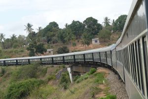 Rovos Rail auf dem Weg nach Dar Es Salaam. © Foto: Bernd Kregel
