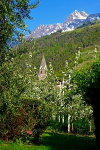 Algund in Südtirol.