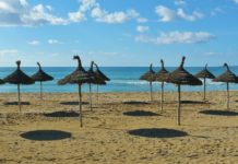 Sauftourismus am Ballermann der Baleareninsel Mallorca „so schlimm wie nie zuvor“?