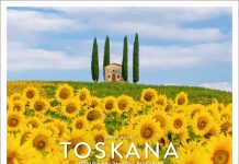 „Zypressen und das Licht des Südens“ im Wandkalender „Toskana 2026“ von Fabio Muzzi der Marke Weingarten