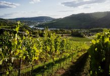 Das Erbe der Cäsaren und der Geist von Schengen – Römische Villen, mittelalterliche Burgen und ein Dreiländersekt
